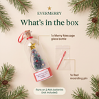What's in the box: Merry Message glass bottle and red recording pin; 2 AAA batteries not included